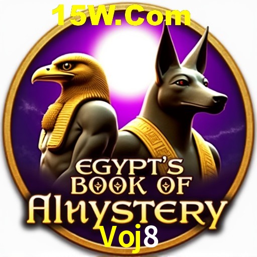 Voj8 Rio de Janeiro - Bonus Terms