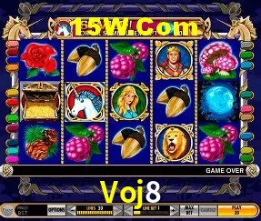 Voj8 - Winners Celebration